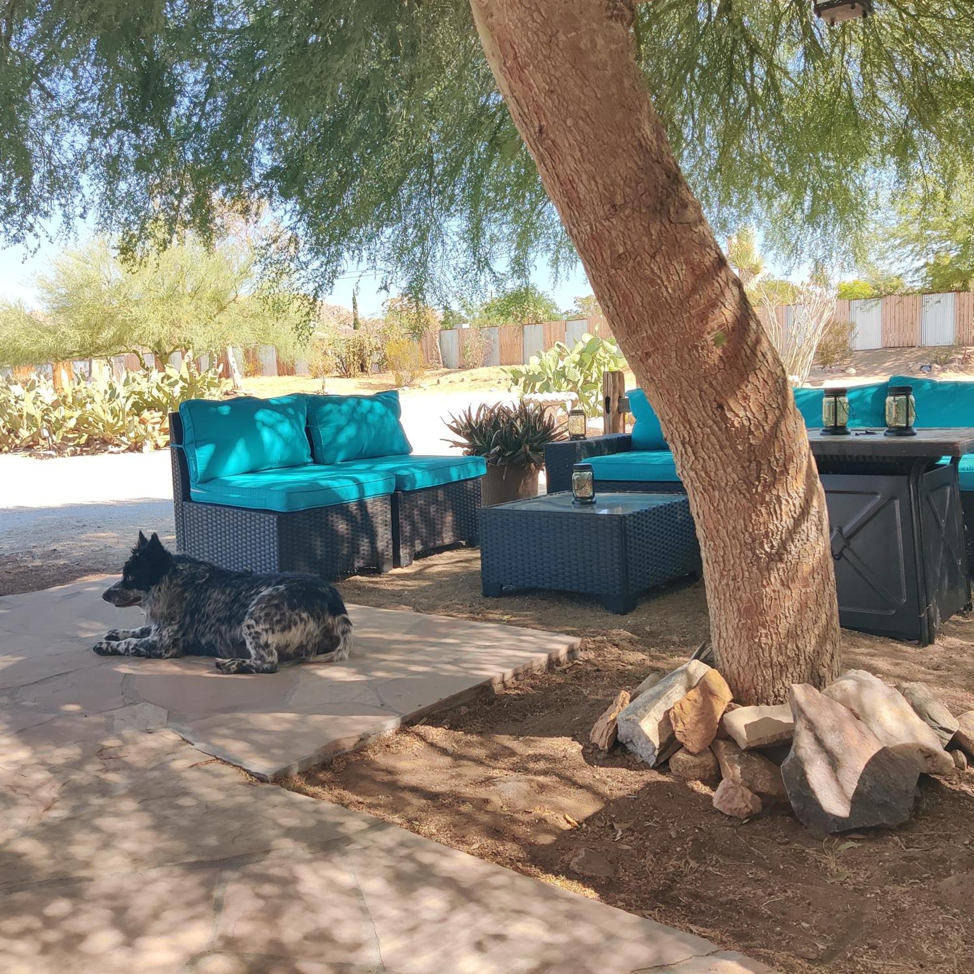 Joshua Tree Ranch House Motel - Downtown - Room #6 Buitenkant foto